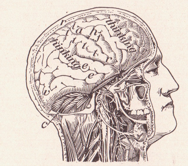 35 Psychological Tricks To Help You Learn Better