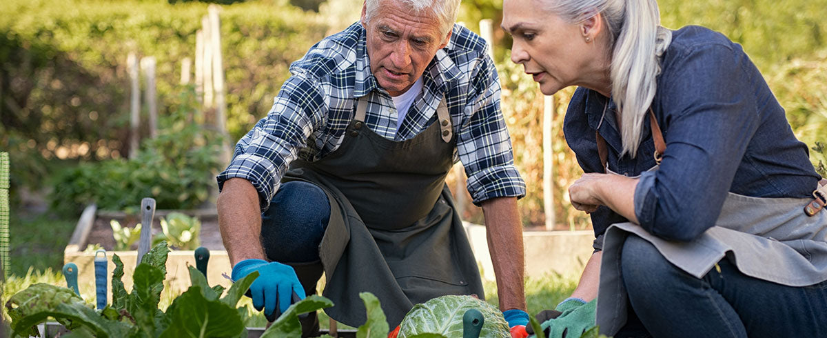 All you need to know to grow a thriving career as a Horticulturalist