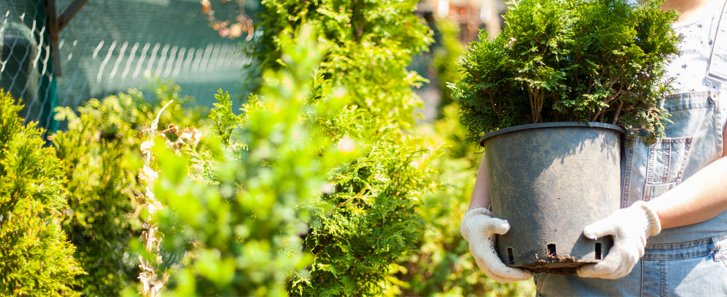 A day in the life of a Horticulturist