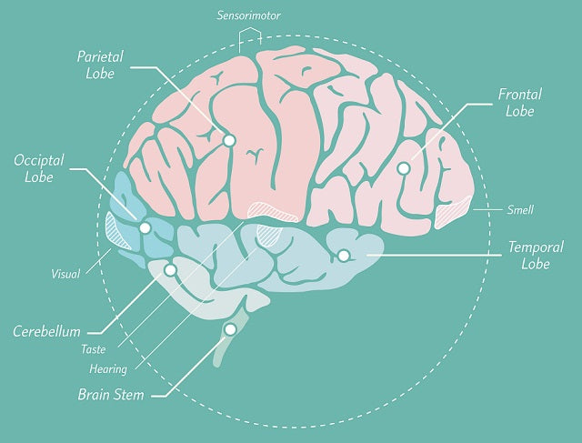 What Does It Mean To Be Intelligent?