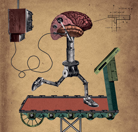 Standardized Tests Not A Good Indication of Fluid Intelligence According to New Research