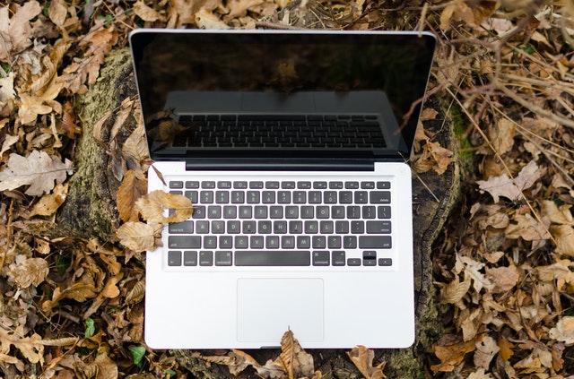 Popular Self-Paced Online Courses