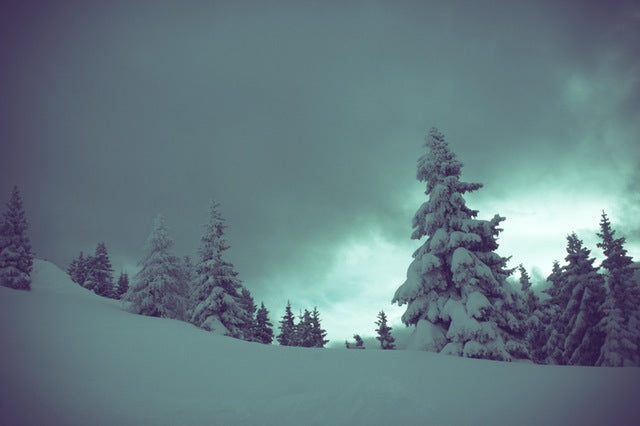 Why Silence Is Good For Your Brain