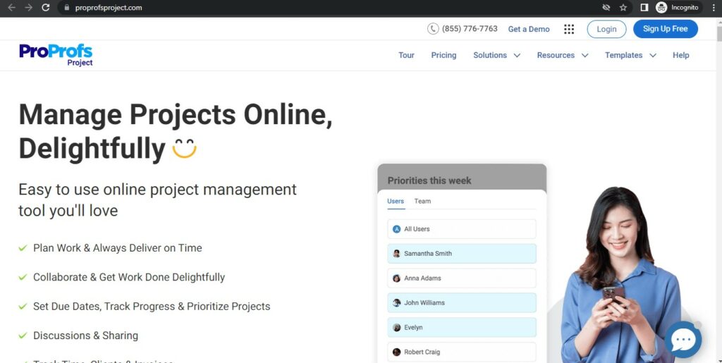 Proprofs project management