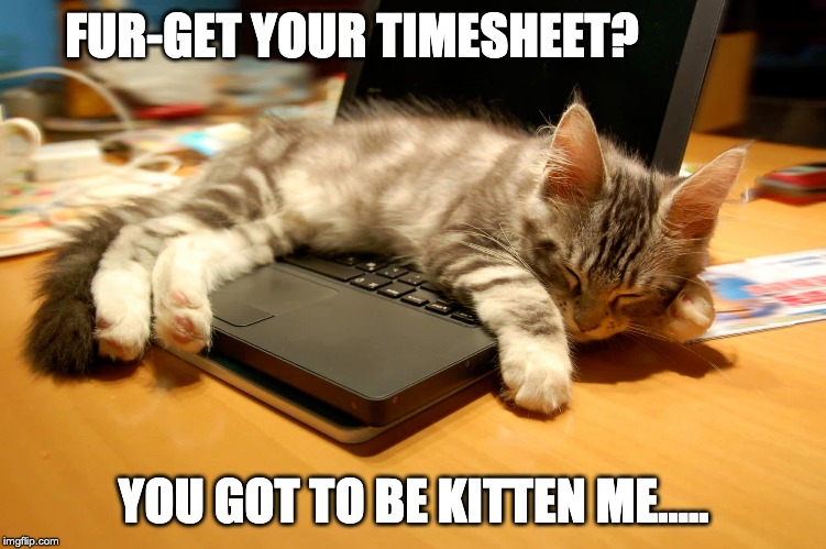 Timesheet memes