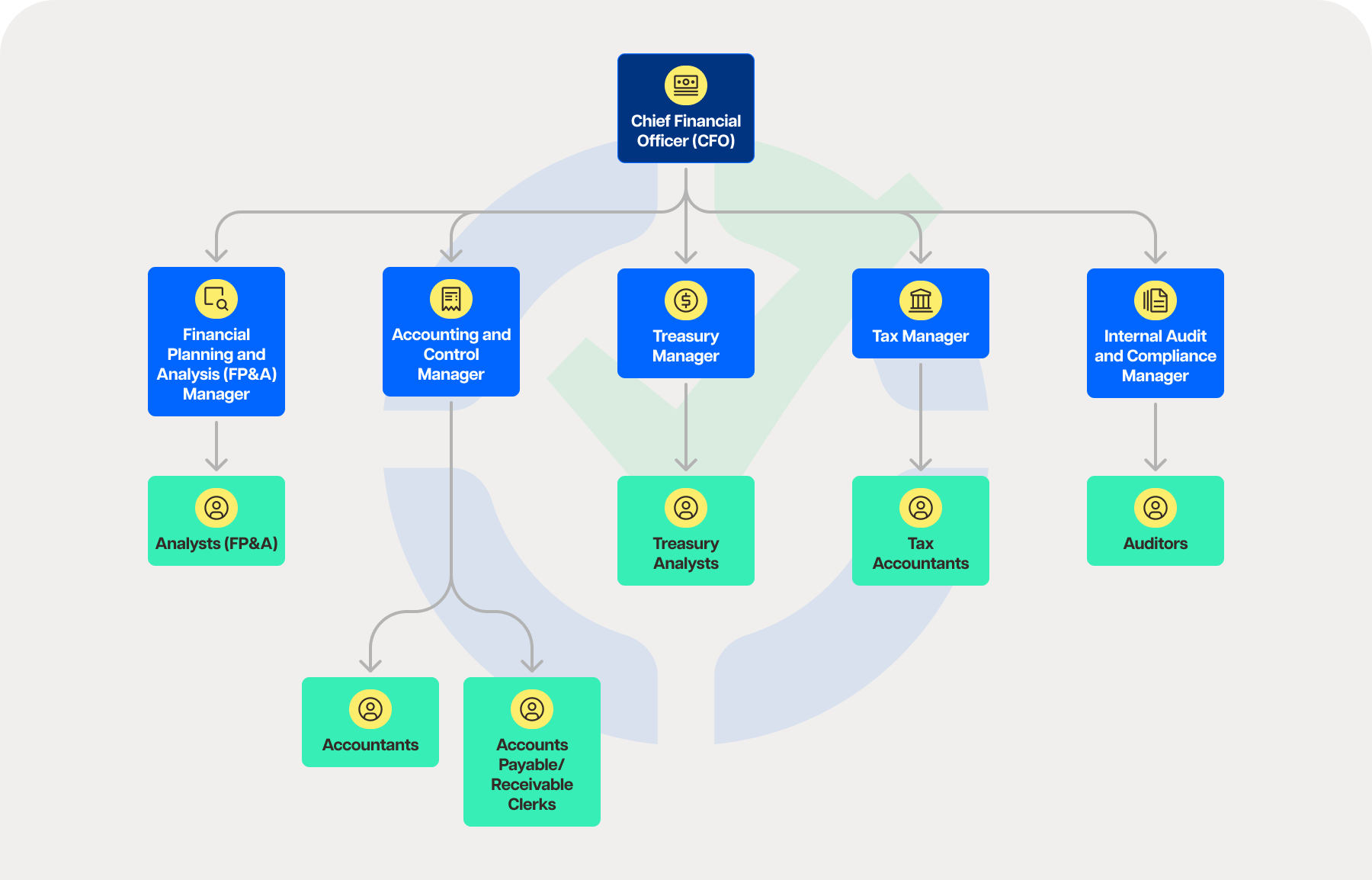 Finance Team Structure