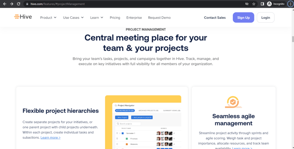 Hive project management