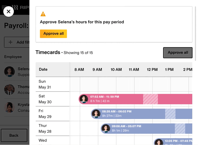 Rippling timesheet